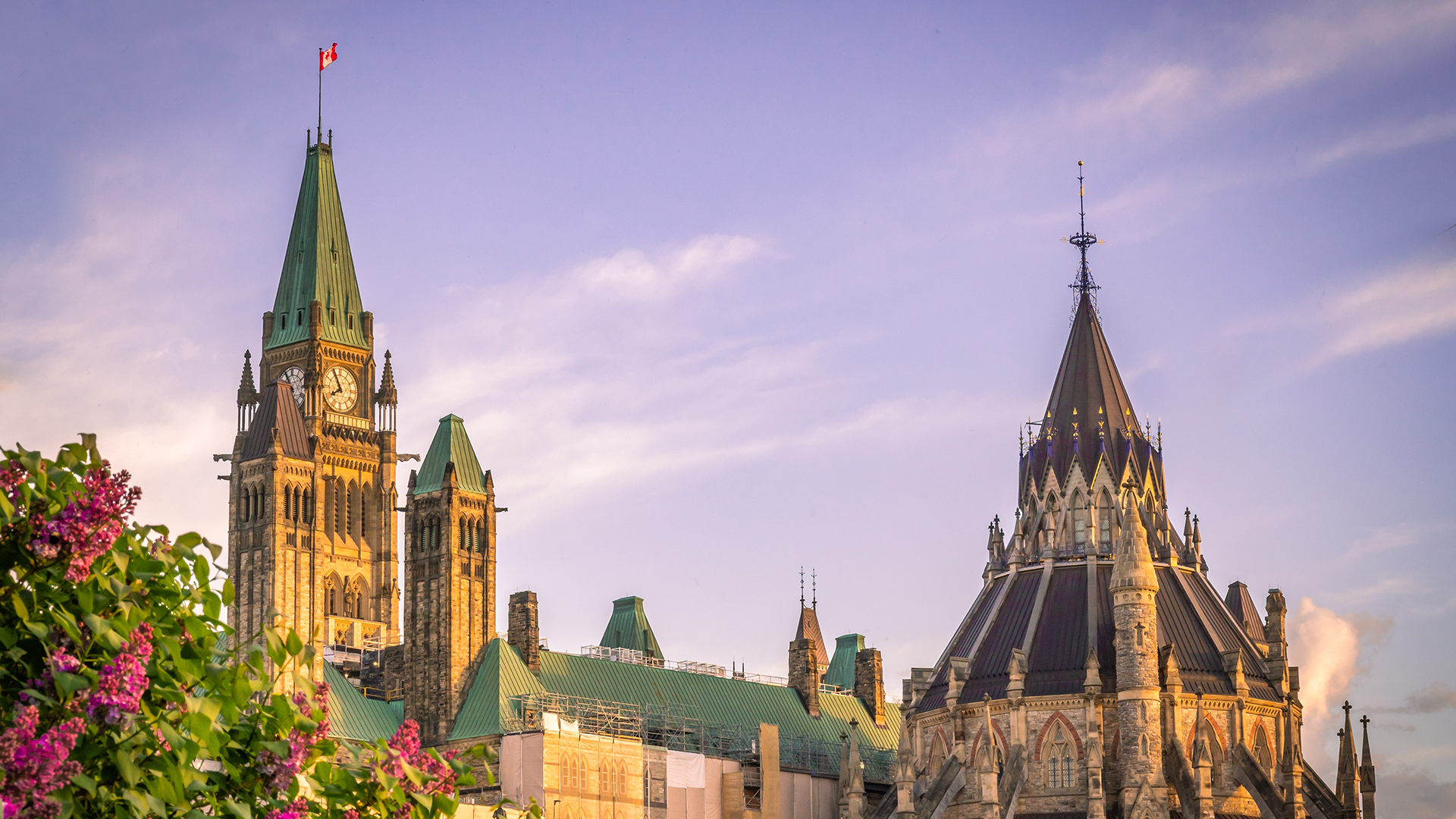 Historic Gothic Revival buildings of Canada’s Parliament in Ottawa are bathed in warm golden sunlight, with the tall Peace Tower on the left featuring a clock face and a Canadian flag flying at the top, while an ornate round tower with a dark pointed roof stands on the right; green copper roofs and detailed stonework connect the structures, and pink flowering bushes frame the foreground under a soft pastel sky.